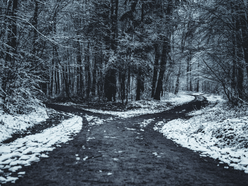 Tomando una Buena o una Mala Decisión—El principio de la&nbsp;Sabiduría